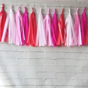 Tassel Garland Franjas COLORS Vermelho e Rosa