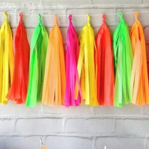 NEON Varal de Franjas Decoração NEON PARTY
