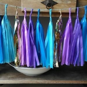 Varal de Franjas Decoração Frozen