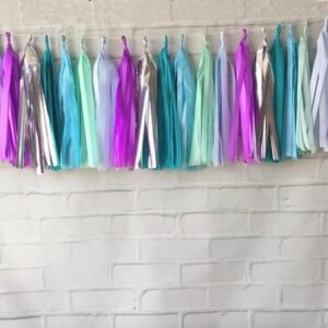 FROZEN Varal de Franjas Decoração Tassel pompons