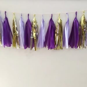 Princesa Sofia Varal Franjas Decoração