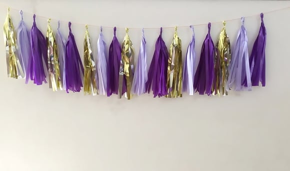 Princesa Sofia Varal Franjas Decoração