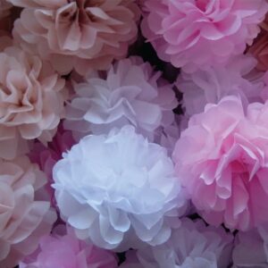 Pompons SPECIAL SOFT 30