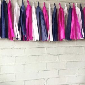 Tassel Garland Franjas Pink & Blue GLAM