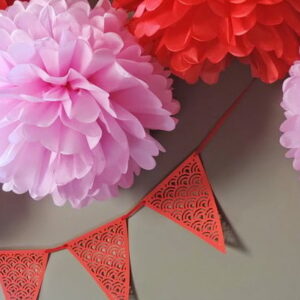 Pompons Seda Festa Chic Glam