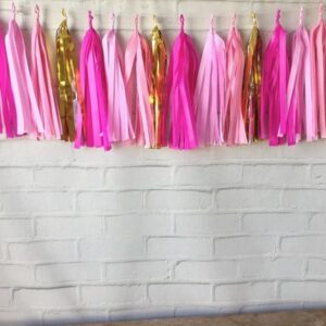 Varal de Franjas Decoração FESTA LUXO ROSA