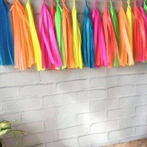 Varal de Franjas Decoração NEON PARTY ALLEGRA