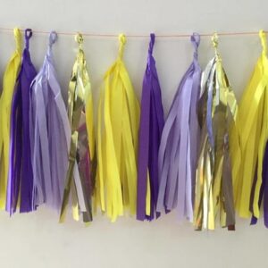 Varal Franjas Decoração Princesa Sofia 2
