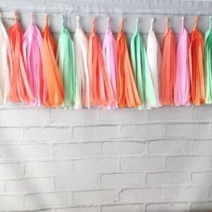 Meu JARDIM Varal de Franjas FESTA GLAM