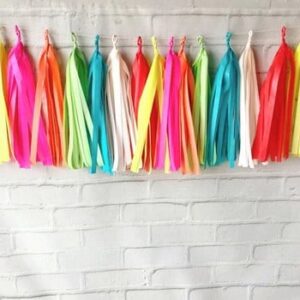 Varal de Franjas Decoração Cores Fashion Tassel