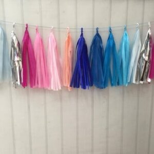 Tassel Garland Franjas LUXO Pink & Blue