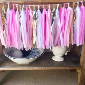 Varal de Franjas Decoração Princesa ROSA